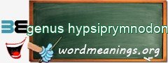WordMeaning blackboard for genus hypsiprymnodon